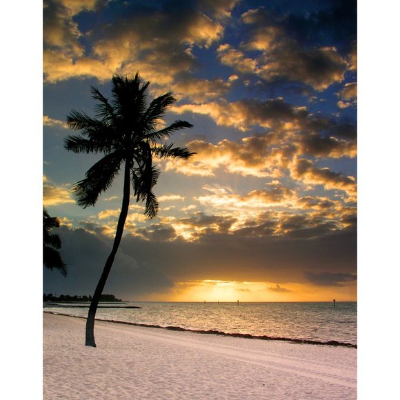 ArtisticPhoto Other - Key West Sunrise 11 x 14 print
